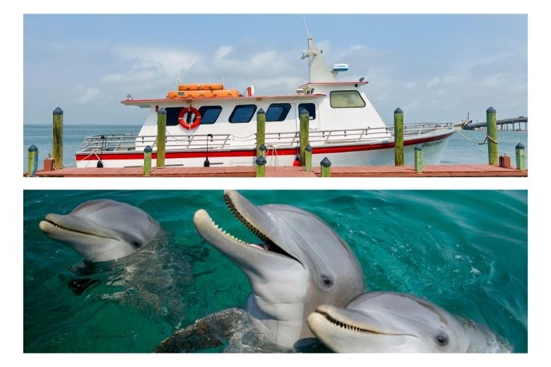 Things To Do Buccaneer Cruises 